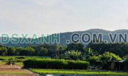 Bán đất Thị trấn Phước Hải, Huyện Đất Đỏ, 4873m2 – 12 tỷ