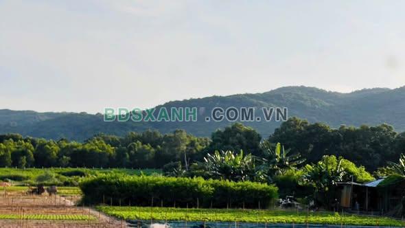 Bán đất Thị trấn Phước Hải, Huyện Đất Đỏ, 4873m2 – 12 tỷ