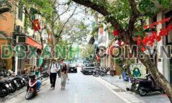 Bán Nhà Phố Chân Cầm 70m2, Phường Hàng Bông, Quận Hoàn Kiếm.