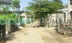 Bán đất 169m2 Xã Phước Vĩnh, Huyện Ninh Phước 330 triệu