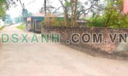 Bán đất Thôn Gô, Xã Kim Long, Huyện Tam Dương 88m² giá 1.2xx tỷ
