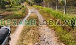 Bán 4000m² Đất Vườn Xã Trường Đông, Hòa Thành, Tây Ninh – 1.5 Tỷ
