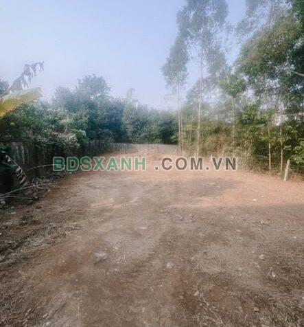 Bán Đất Xã Chu Hóa, Thành phố Việt Trì 500m² giá từ 5tr/m²