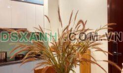 Bán đất giãn dân P. Khúc Xuyên, TP Bắc Ninh, 75m2, giá 6.5 tỷ