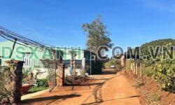 Bán đất hẻm 868 Lê Duẩn P. An Phú, TP Pleiku, 140m2, 550 Triệu