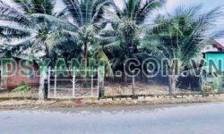 Bán Đất 99.5m² Xã Diên Lạc, Huyện Diên Khánh, Giá 999tr
