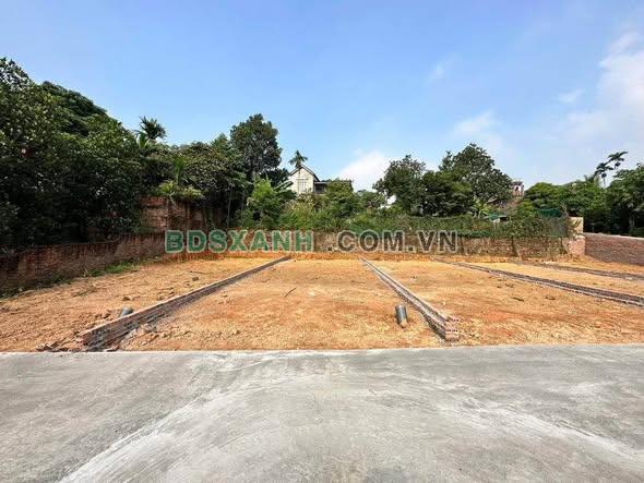 Bán đất Khu 4, Xã Thanh Đình, TP Việt Trì 95.7m² giá TL