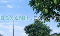 Bán 558m² (100m² Đất ở) P. Cao Bình, TP Cao Bằng chỉ 1.x tỷ