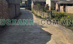 Bán Đất Tổ 1 Phường Nùng Trí Cao, TP Cao Bằng >130m² chỉ từ 5xx tr.