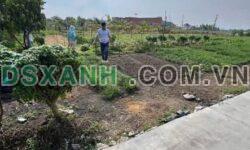 Bán 2 Lô Đất Xã Bình Lãng, Huyện Tân Trụ, 150m², 450Tr TL