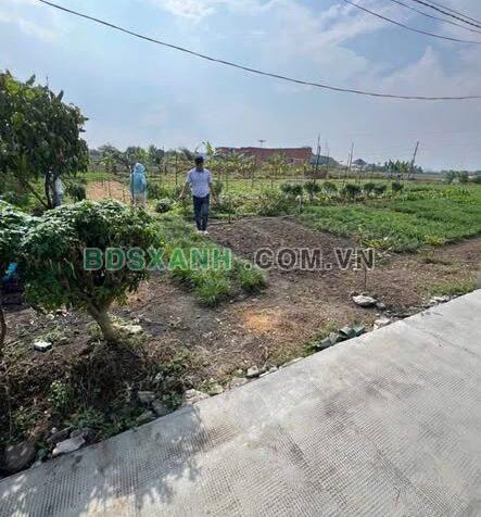 Bán 2 Lô Đất Xã Bình Lãng, Huyện Tân Trụ, 150m², 450Tr TL