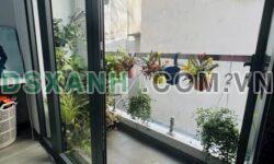 Bán nhà Phường Nguyễn Cư Trinh, Quận 1, 50m2, nhỉnh 11 tỷ