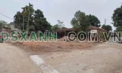Bán Đất 88.2m2 Khu 1, Xã Thanh Đình, TP Việt Trì Giá 8xx