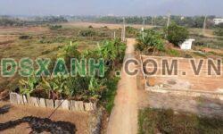 Bán 100m2 thổ cư trục chính Xã Đồng Trúc, Huyện Thạch Thất