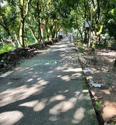 Bán đất nền 125.2m2 Phường Cao Lãnh, TP Cao Lãnh, 800 triệu