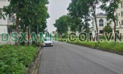 Bán Đất BT Thành phố Bắc Ninh, Phường Võ Cường, 347m2, 3x tỷ