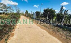 Bán Lô Đất 5x50m P. An Phú, TP. Pleiku, Gia Lai, View Ruộng 525 Triệu