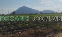 Bán 3.8 mẫu đất rẫy Xã Tân Hưng, Huyện Tân Châu giá 6.3 tỷ