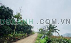 Bán Đất Xã Phong Quang, Huyện Vị Xuyên – 4800m² – Giá từ 7xx triệu
