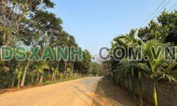 Bán đất 8x54m Phường Hà Giang 2, TP Hà Giang 380 triệu