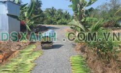Bán đất Xã Long Hòa, Huyện Cần Đước 8300m2 giá 5xx/m2