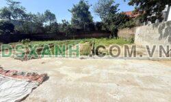 Bán 86m2 Đất Đan Tảo, Xã Tân Minh, Huyện Sóc Sơn, giá tốt