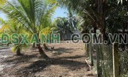 Bán đất 300m² Xã Trung Ngãi, Huyện Vũng Liêm giá 220tr