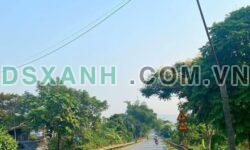 Bán đất 145m² Xã Việt Lâm, Huyện Vị Xuyên, Hà Giang – 550 Triệu