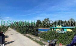 Bán nhà Xã Thạnh Đức, Bến Lức – DT 518.6m² full thổ cư, 1.45 tỷ