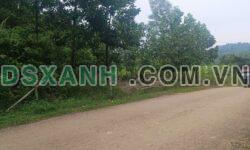 Bán Đất MT 17m, Xã Nguyệt Ấn, H. Ngọc Lặc, Thanh Hóa 4xx Triệu