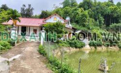 Bán đất Xã Phong Hải, Huyện Bảo Thắng hơn 4100m² giá 1.8 tỷ