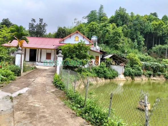 Bán đất Xã Phong Hải, Huyện Bảo Thắng hơn 4100m² giá 1.8 tỷ
