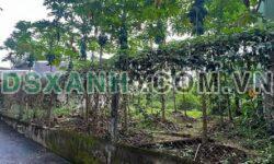 Bán đất P. An Tây, TP. Huế 200m² ngang 13m giá 1.5xx tỷ