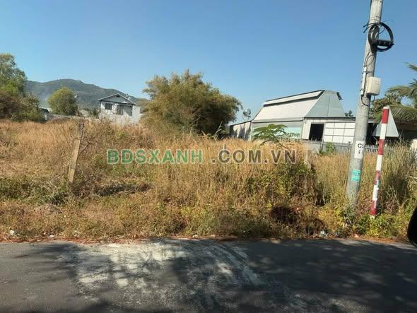 Bán đất 6x25m Phường Phước Hải, Đất Đỏ, Vũng Tàu, 1.5 tỷ