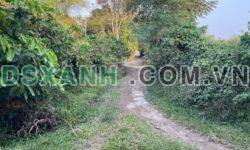 Bán 1000m² đất vườn, đường ô tô, Phường Thới Sơn, Mỹ Tho, giá 3xx triệu.