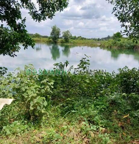 Bán đất vườn Xã Lộc An, H. Lộc Ninh, BP, >8.000m², 1.4 tỷ