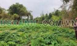 Bán Đất Nà Toàn, Đề Thám, Cao Bằng, 990m²