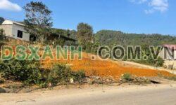 Bán 500m2 Đất Xã Bình Trung, Huyện Cao Lộc MT QL1B, 4,x Tr/m2