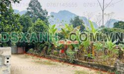 Bán Đất 802m2 Xã Trần Phú, Huyện Chương Mỹ, TP Hà Nội – Hơn 4 tỷ