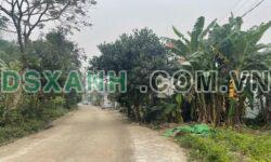 Bán đất Khu 6, Xã Phượng Lâu, Thành phố Việt Trì, 108-118m², ĐB