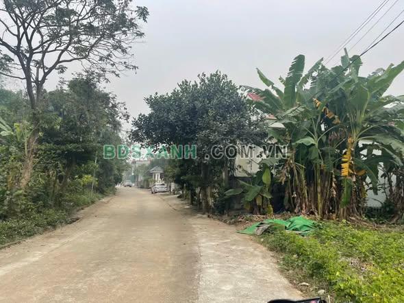 Bán đất Khu 6, Xã Phượng Lâu, Thành phố Việt Trì, 108-118m², ĐB