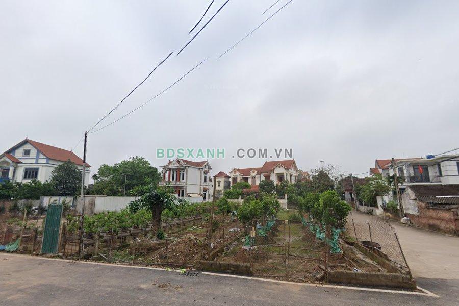 Cảnh quan khu vực Phi Liệt