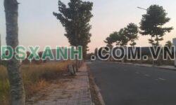 Bán Đất 100m² Trục D1, P. Hội Nghĩa, TP. Tân Uyên – 1.62 Tỷ