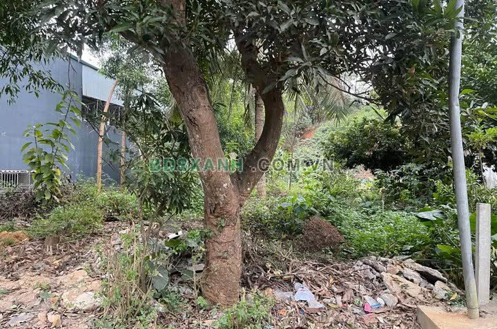 Bán đất Viên Châu, An Tường, TP Tuyên Quang, 209m², 70m² thổ cư, hơn 1 tỷ.