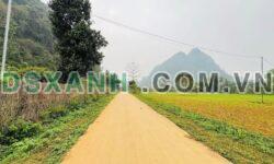 Bán Đất 590m² tại Xã Phong Quang, Huyện Vị Xuyên chỉ 399 Triệu