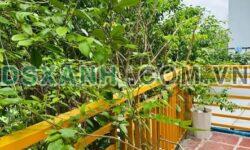 Bán Nhà Xóm Chiếu, TP Nha Trang, Phường Vĩnh Hiệp 65.8m² 3.89 tỷ