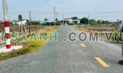 Bán Đất Xã Bình Trinh Đông, Huyện Tân Trụ, Long An – DT 1000m2 giá 2.1 Tỷ