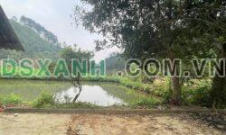Bán trang trại 2ha Xã Thái Niên, TP Lào Cai. Giá 1.9xx tỷ