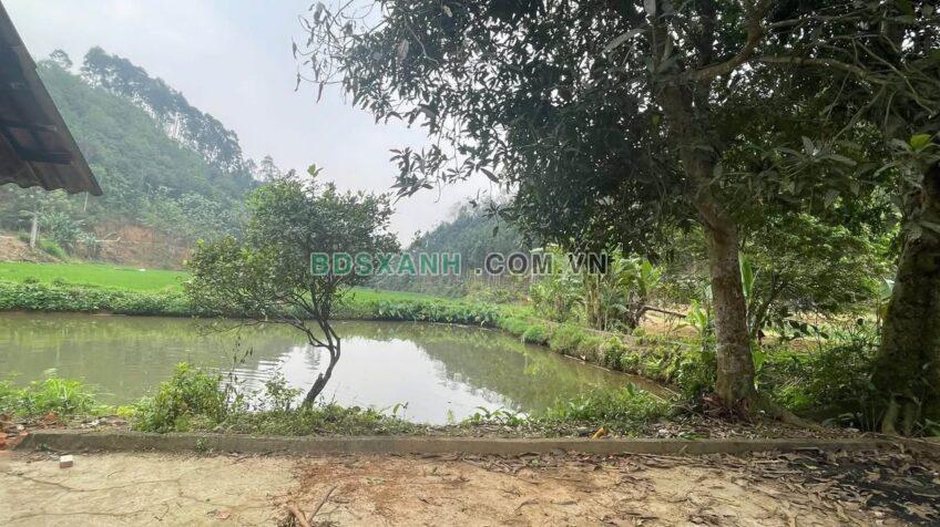 Bán trang trại 2ha Xã Thái Niên, TP Lào Cai. Giá 1.9xx tỷ