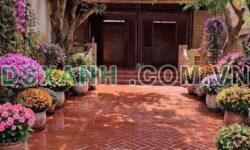 Bán Đất & Nhà Vườn Gỗ Xã Hòa Long, Tp Bà Rịa 125m2 2.3 tỷ